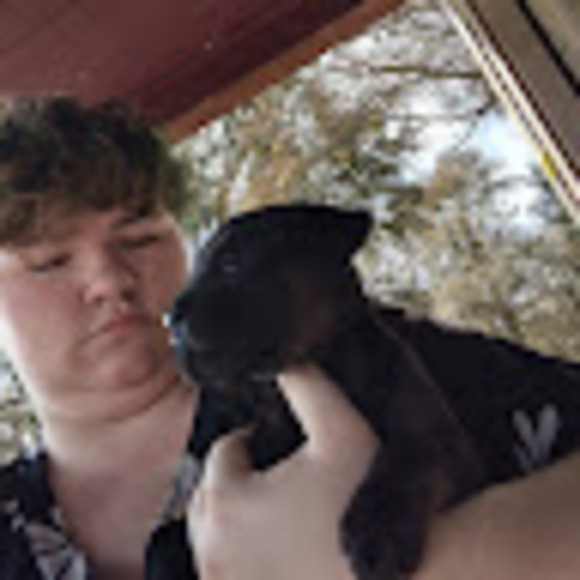 Meet your Posher, Daisy mcrae - Picture 1 of 1